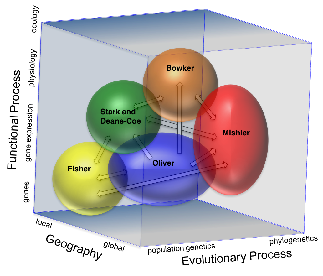 Dimensions Interactions