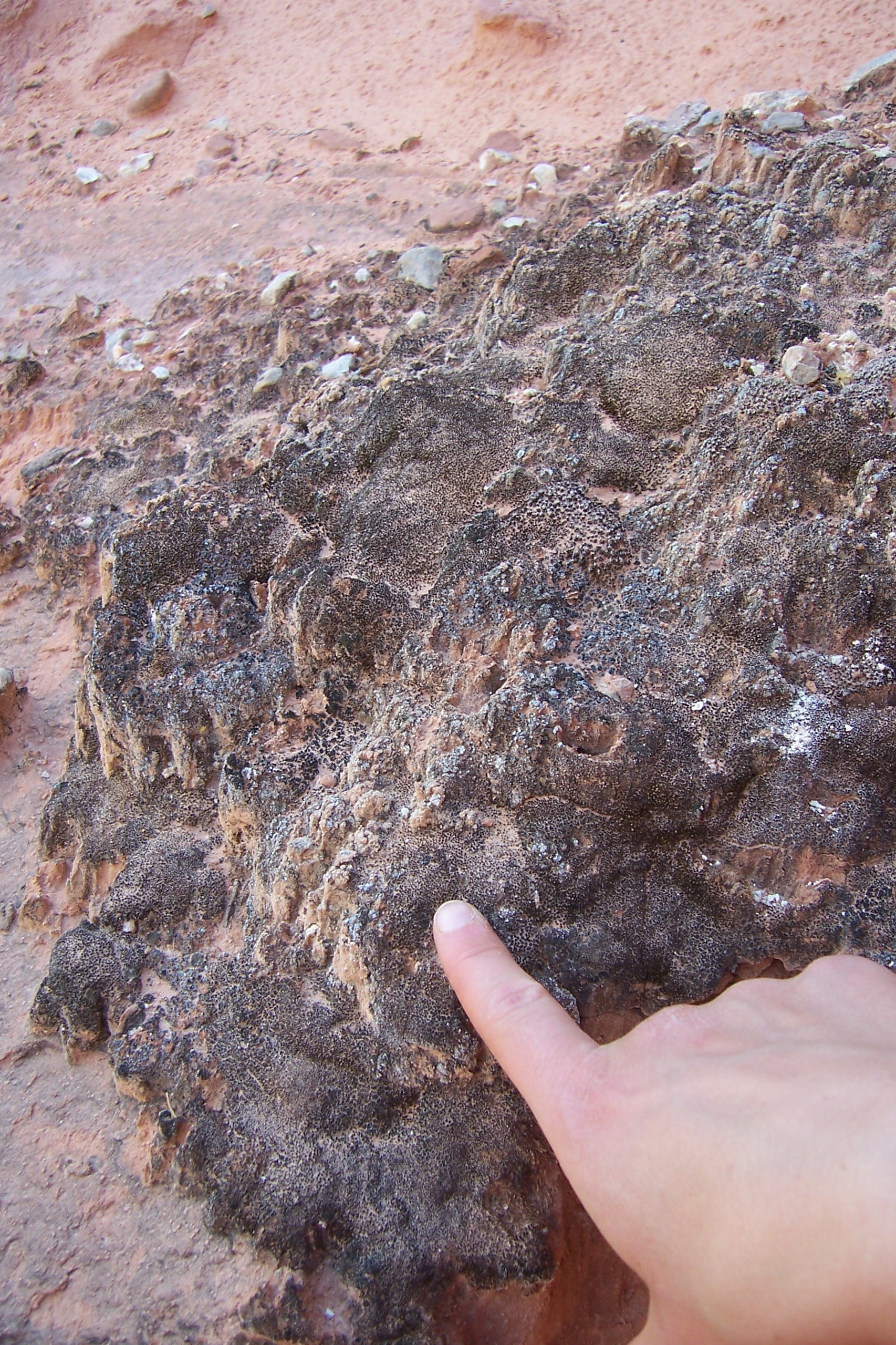 Fig 2a. Soil Crust